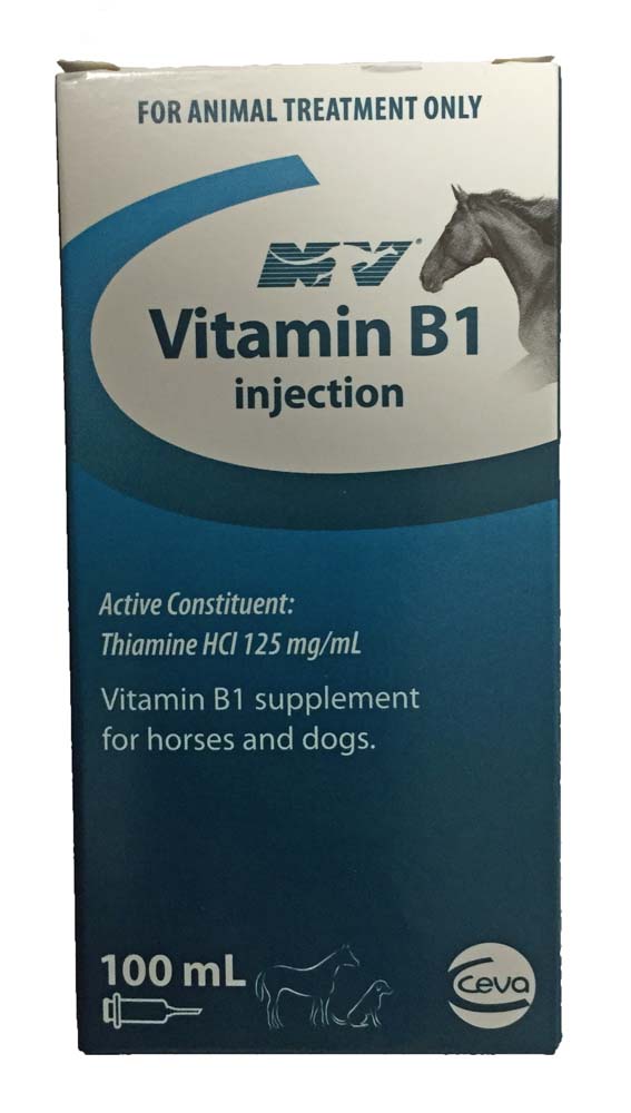 Nature's Vet Vitamin B1 Injection 100mL